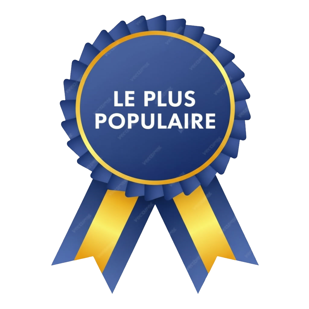 Gemini 2.5 Flash Image Enleve Les Filigranes Et Remplace La Partie En Rouge Pour Du Bleu 0